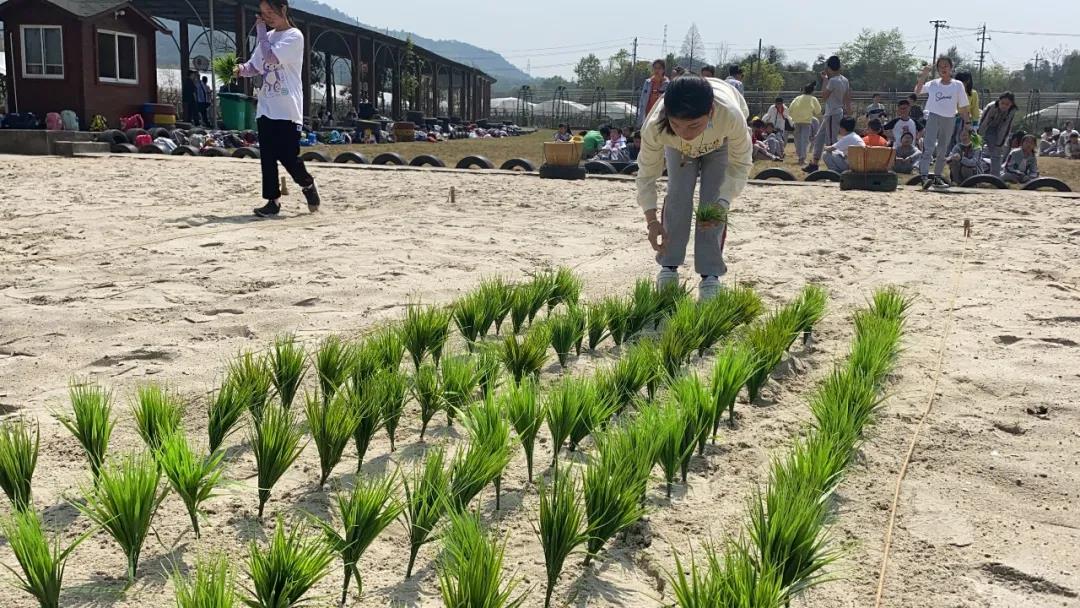 【田園嘉樂比】農耕研學