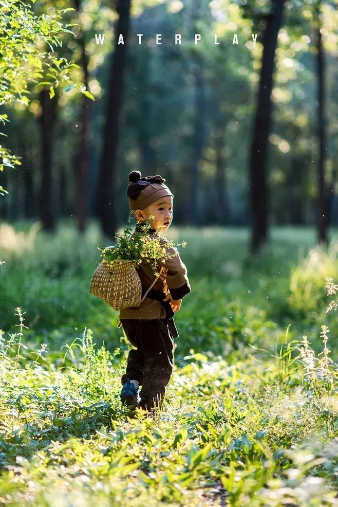 【寻根问药】识药辩药，學(xué)习传承中华传统文(wén)...