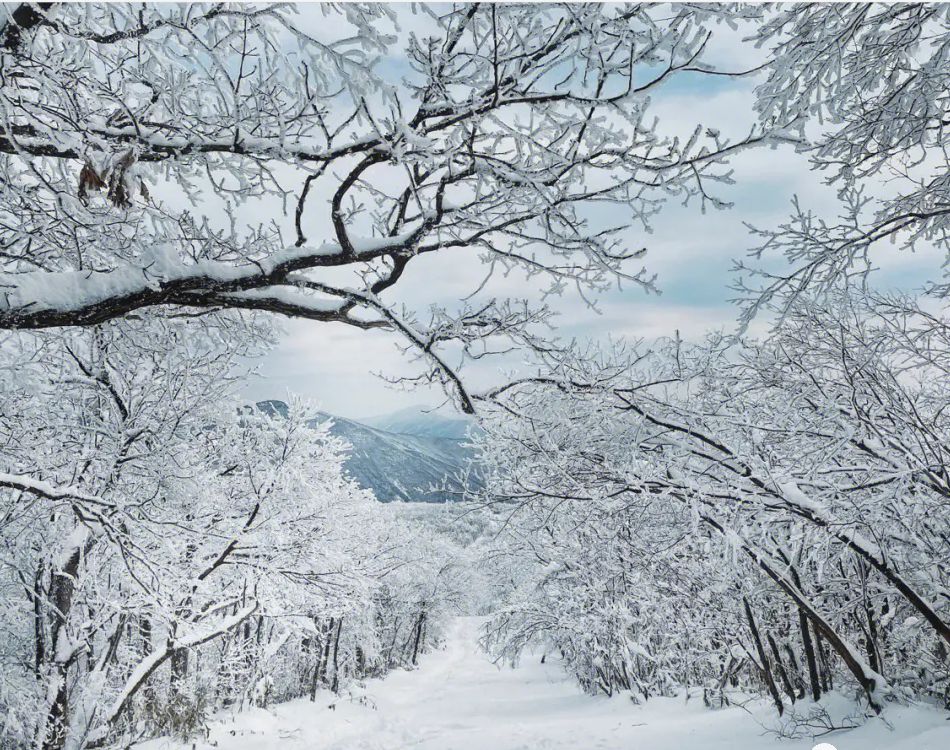 【冰天雪(xuě)地的召喚】絕美龍王山(shān)，登山(shān)，攝影...